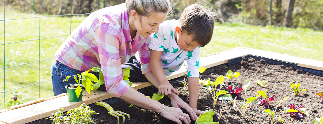 Tipps rund ums Hochbeet