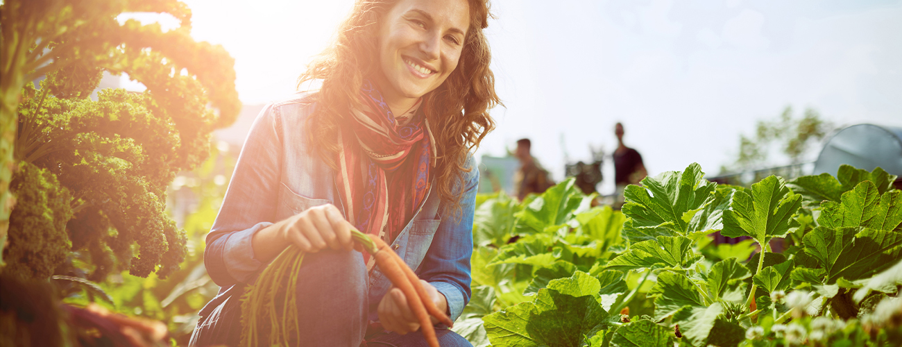 Kompost – der Schatz im eigenen Garten