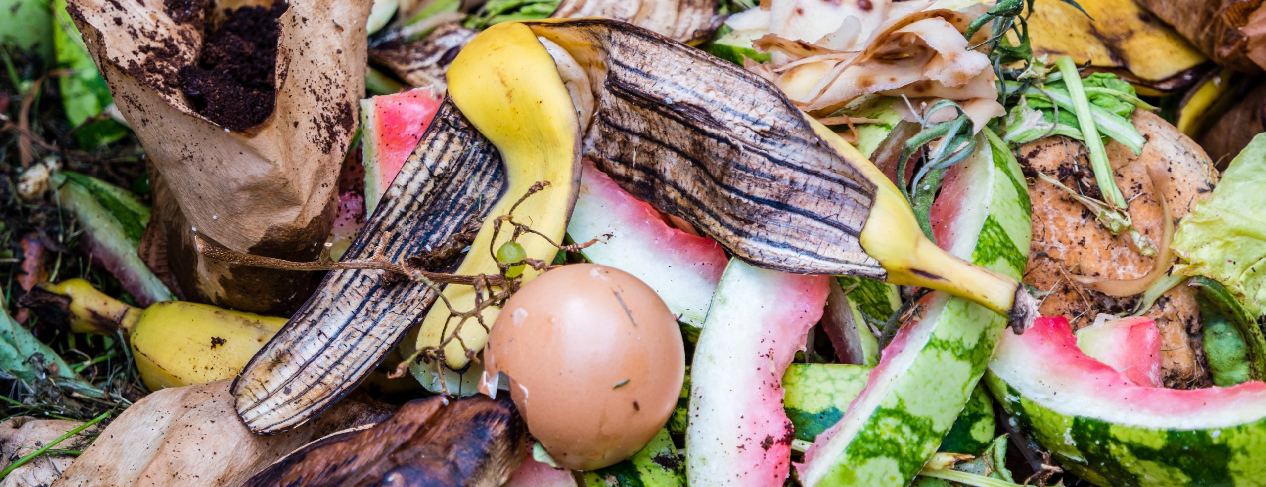 Tipps für die Biotonne im Winter